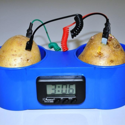 Potato Clock #2 - Cu/Zn Batterie