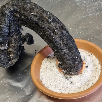 Pharao Schlange - Starterset (10-15 Anwendungen)